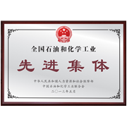 全国石油和化学工业先进集体