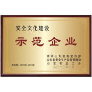 山东省安全文化建设示范企业