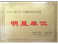 公司获得“2012—2013年度山东化工行业明星”称号