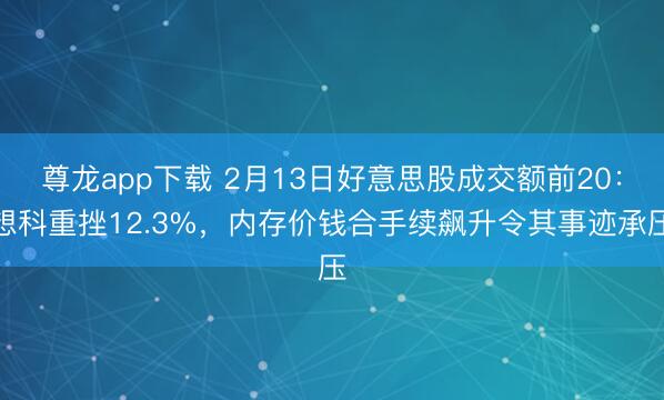 尊龙app下载 2月13日好意思股成交额前20:想科重挫12.3%,内存价钱合手续飙升令其事迹承压