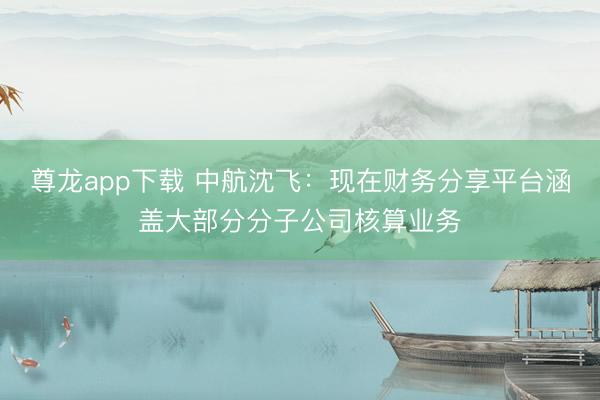 尊龙app下载 中航沈飞：现在财务分享平台涵盖大部分分子公司核算业务