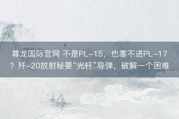 尊龙国际官网 不是PL-15，也塞不进PL-17？歼-20放射秘要“光杆”导弹，破解一个困难