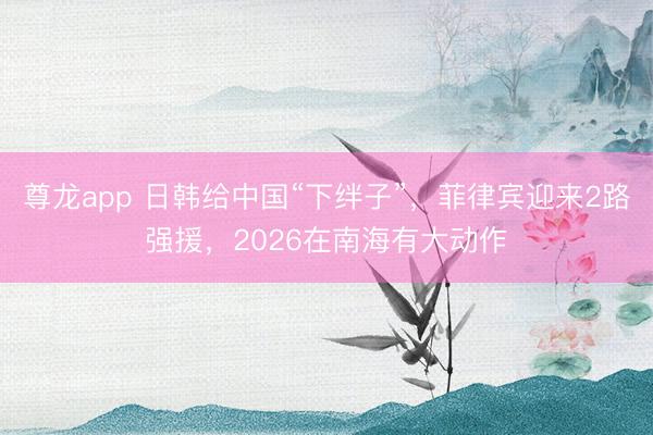尊龙app 日韩给中国“下绊子”，菲律宾迎来2路强援，2026在南海有大动作