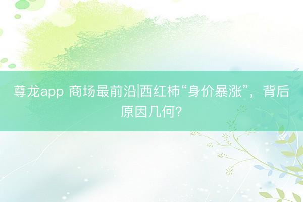 尊龙app 商场最前沿|西红柿“身价暴涨”，背后原因几何？
