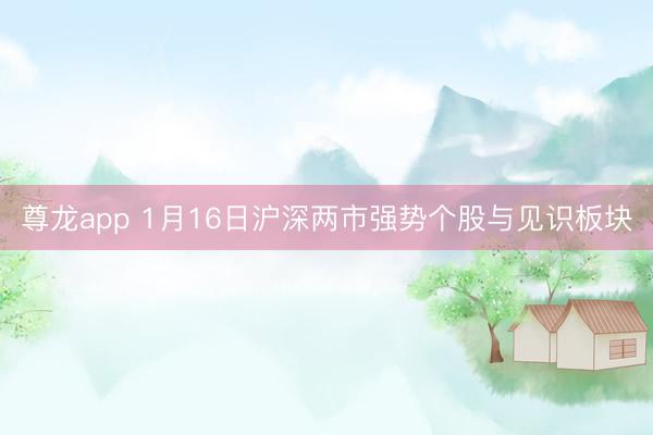 尊龙app 1月16日沪深两市强势个股与见识板块