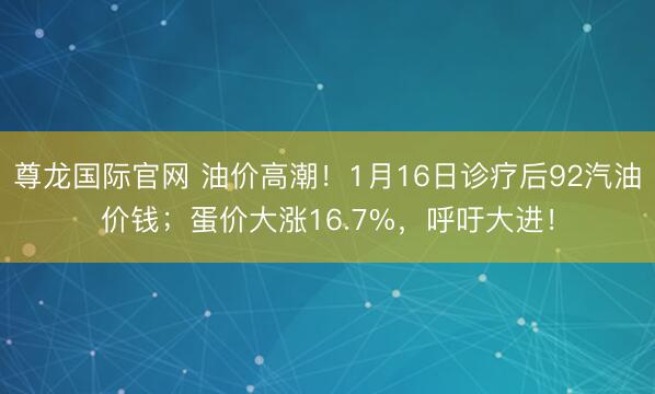 尊龙国际官网 油价高潮！1月16日诊疗后92汽油价钱；蛋价大涨16.7%，呼吁大进！