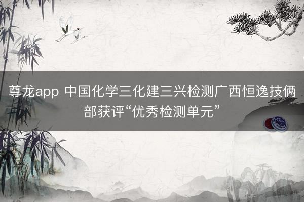 尊龙app 中国化学三化建三兴检测广西恒逸技俩部获评“优秀检测单元”