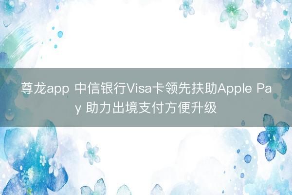 尊龙app 中信银行Visa卡领先扶助Apple Pay 助力出境支付方便升级