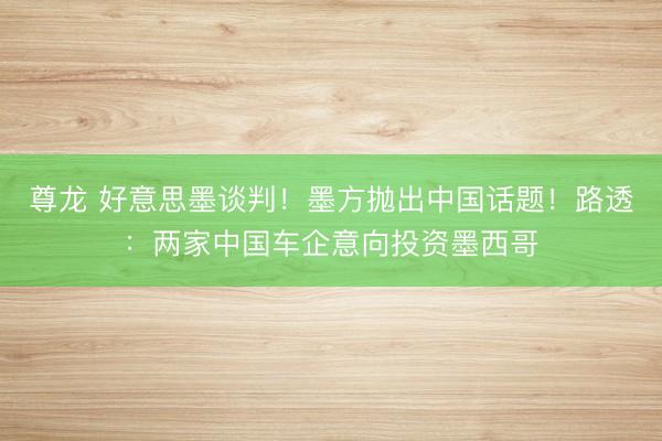 尊龙 好意思墨谈判！墨方抛出中国话题！路透：两家中国车企意向投资墨西哥