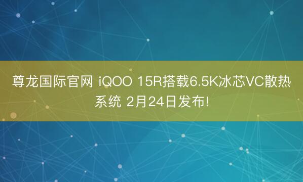 尊龙国际官网 iQOO 15R搭载6.5K冰芯VC散热系统 2月24日发布!