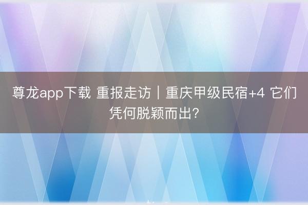 尊龙app下载 重报走访|重庆甲级民宿+4 它们凭何脱颖而出?