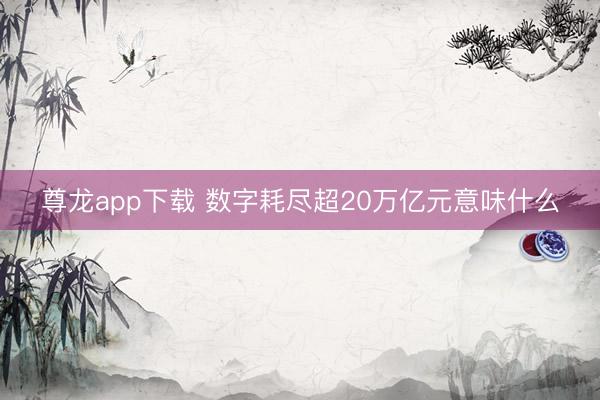 尊龙app下载 数字耗尽超20万亿元意味什么