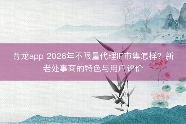 尊龙app 2026年不限量代理IP市集怎样?新老处事商的特色与用户评价