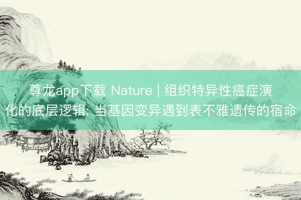 尊龙app下载 Nature | 组织特异性癌症演化的底层逻辑: 当基因变异遇到表不雅遗传的宿命
