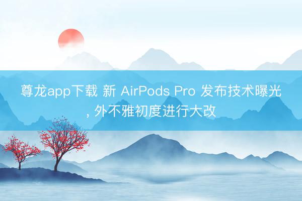 尊龙app下载 新 AirPods Pro 发布技术曝光， 外不雅初度进行大改