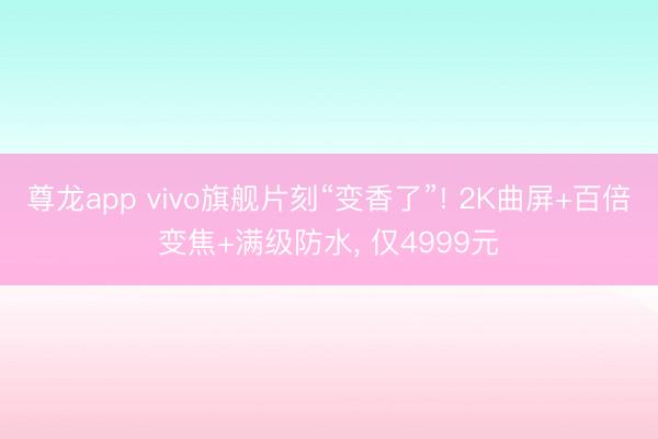 尊龙app vivo旗舰片刻“变香了”! 2K曲屏+百倍变焦+满级防水， 仅4999元