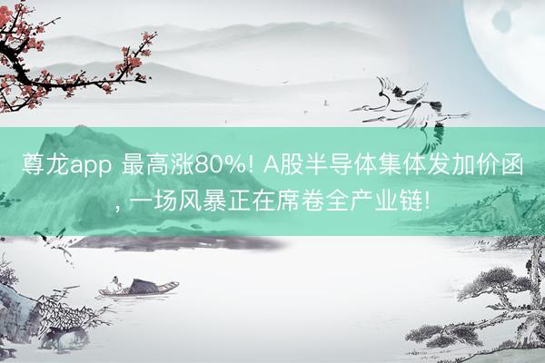 尊龙app 最高涨80%! A股半导体集体发加价函， 一场风暴正在席卷全产业链!