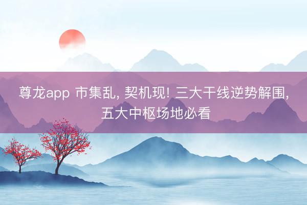 尊龙app 市集乱， 契机现! 三大干线逆势解围， 五大中枢场地必看