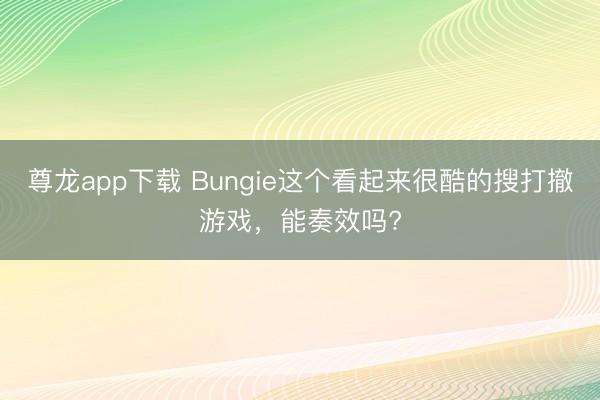 尊龙app下载 Bungie这个看起来很酷的搜打撤游戏，能奏效吗?