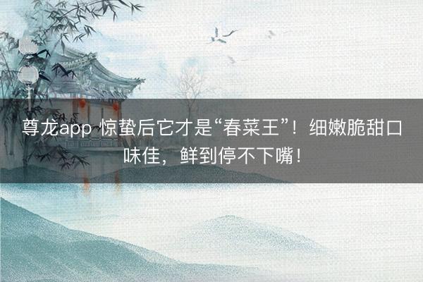尊龙app 惊蛰后它才是“春菜王”!细嫩脆甜口味佳,鲜到停不下嘴!