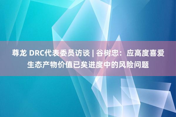 尊龙 DRC代表委员访谈 | 谷树忠：应高度喜爱生态产物价值已矣进度中的风险问题