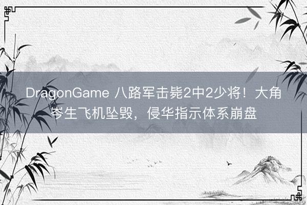 DragonGame 八路军击毙2中2少将！大角岑生飞机坠毁，侵华指示体系崩盘
