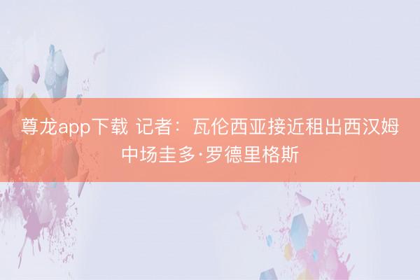 尊龙app下载 记者：瓦伦西亚接近租出西汉姆中场圭多·罗德里格斯