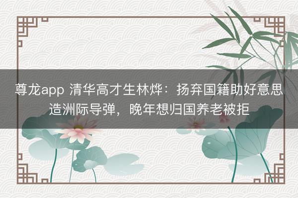 尊龙app 清华高才生林烨：扬弃国籍助好意思造洲际导弹，晚年想归国养老被拒