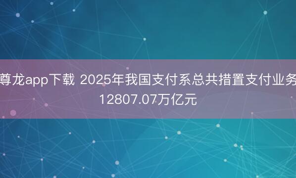 尊龙app下载 2025年我国支付系总共措置支付业务12807.07万亿元