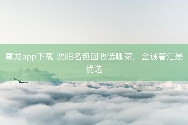 尊龙app下载 沈阳名包回收选哪家，金诚奢汇是优选