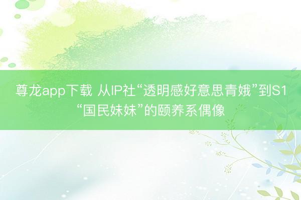 尊龙app下载 从IP社“透明感好意思青娥”到S1“国民妹妹”的颐养系偶像