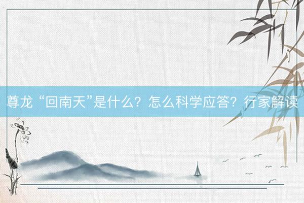尊龙 “回南天”是什么？怎么科学应答？行家解读