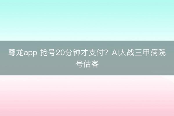 尊龙app 抢号20分钟才支付？AI大战三甲病院号估客