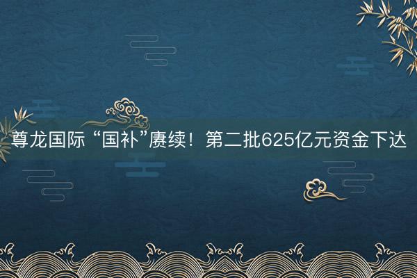 尊龙国际 “国补”赓续！第二批625亿元资金下达