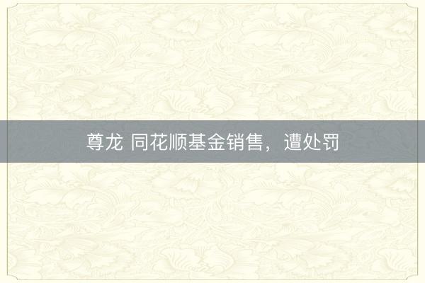 尊龙 同花顺基金销售，遭处罚