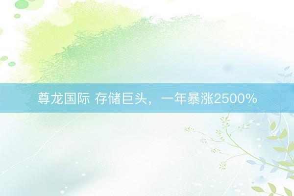 尊龙国际 存储巨头，一年暴涨2500%