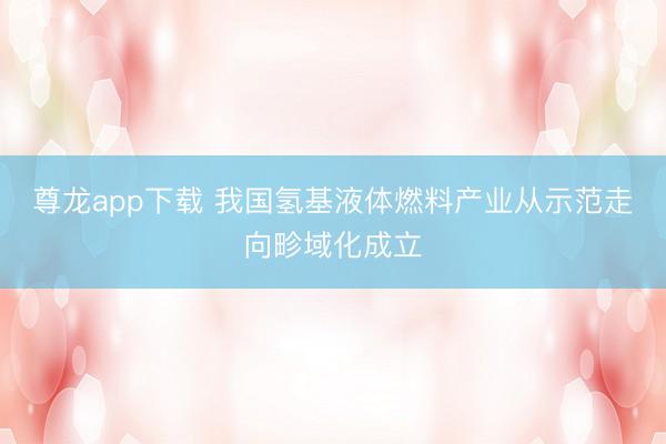 尊龙app下载 我国氢基液体燃料产业从示范走向畛域化成立