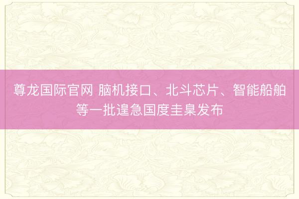 尊龙国际官网 脑机接口、北斗芯片、智能船舶等一批遑急国度圭臬发布