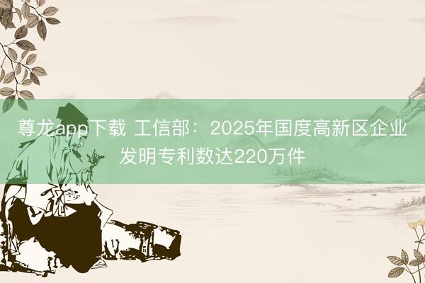 尊龙app下载 工信部：2025年国度高新区企业发明专利数达220万件