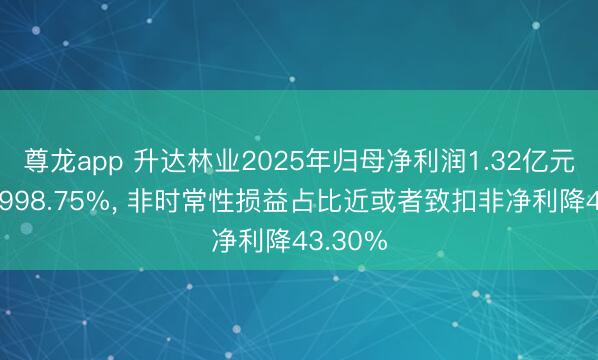 尊龙app 升达林业2025年归母净利润1.32亿元同比增998.75%， 非时常性损益占比近或者致扣非净利降43.30%