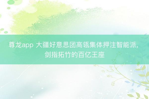尊龙app 大疆好意思团高瓴集体押注智能派， 剑指拓竹的百亿王座