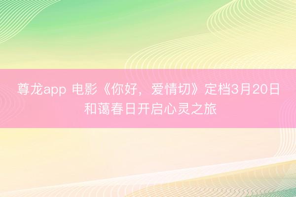 尊龙app 电影《你好，爱情切》定档3月20日 和蔼春日开启心灵之旅