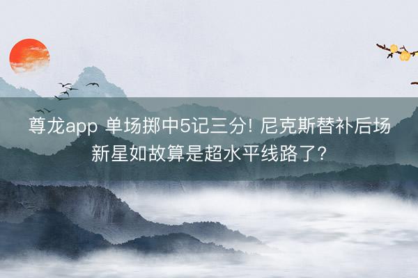 尊龙app 单场掷中5记三分! 尼克斯替补后场新星如故算是超水平线路了?