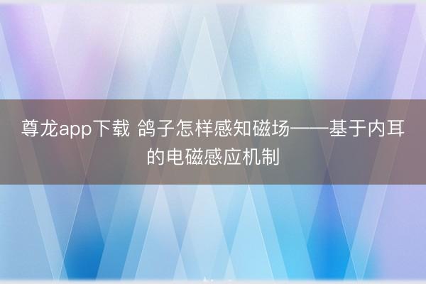 尊龙app下载 鸽子怎样感知磁场——基于内耳的电磁感应机制