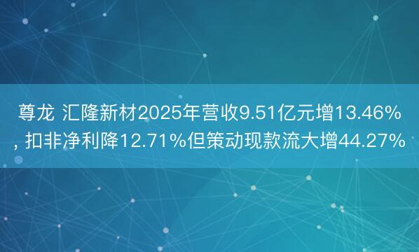 尊龙 汇隆新材2025年营收9.51亿元增13.46%， 扣非净利降12.71%但策动现款流大增44.27%