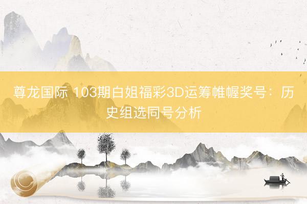 尊龙国际 103期白姐福彩3D运筹帷幄奖号：历史组选同号分析