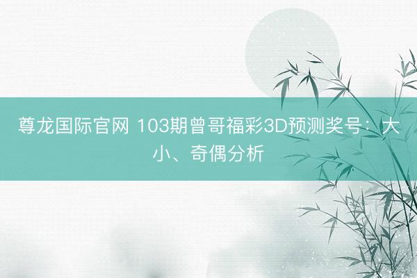 尊龙国际官网 103期曾哥福彩3D预测奖号：大小、奇偶分析