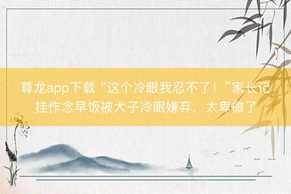 尊龙app下载 “这个冷眼我忍不了！”家长记挂作念早饭被犬子冷眼嫌弃，太卑微了