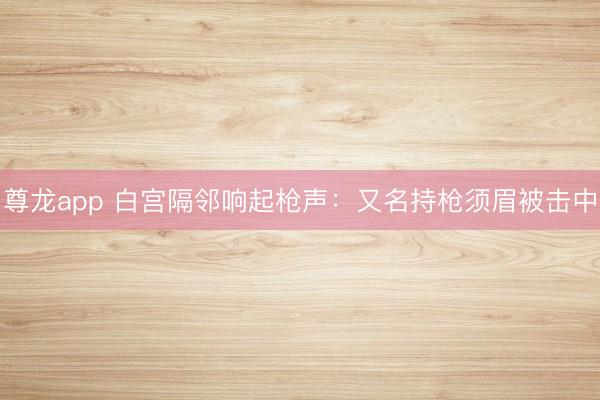 尊龙app 白宫隔邻响起枪声：又名持枪须眉被击中