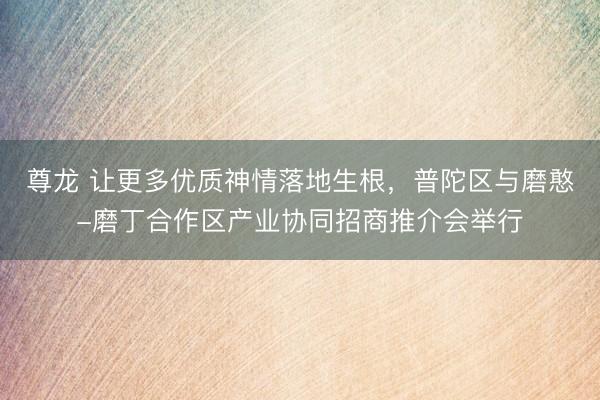 尊龙 让更多优质神情落地生根，普陀区与磨憨-磨丁合作区产业协同招商推介会举行